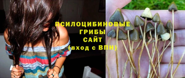 прущие грибы Арсеньев